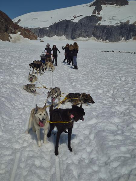 5795-Alaska & Denali Wilderness Explorer
