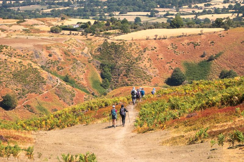 Your holiday: Shropshire Hills  - Guided Walking