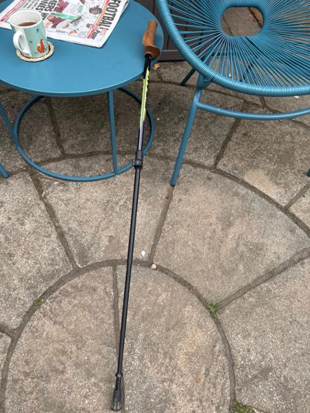 Great walking poles