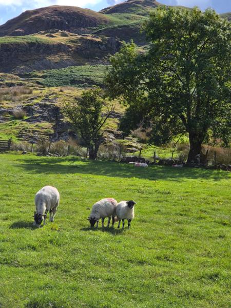 Great tour around a lovely countryside