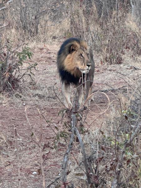 Exploring South Africa, Victoria Falls, and Botswana on 07/24/2026