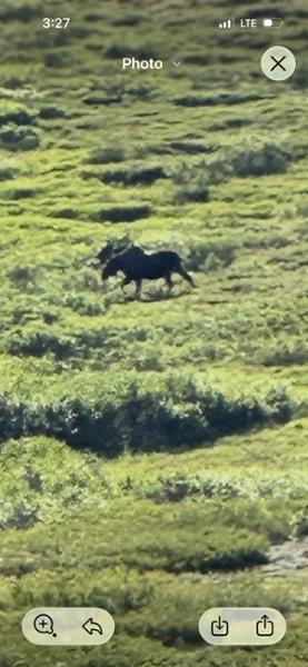 Alaska Discovery Land & Cruise on 07/29/2026