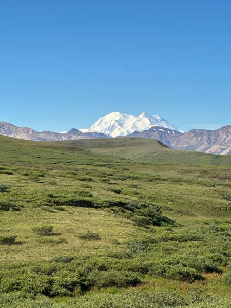 Alaska Discovery Land & Cruise on 07/29/2026