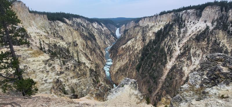 Yellowstone Discovery