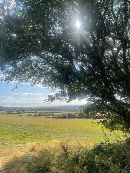 Wonderful walks and enjoying the villages we stayed.