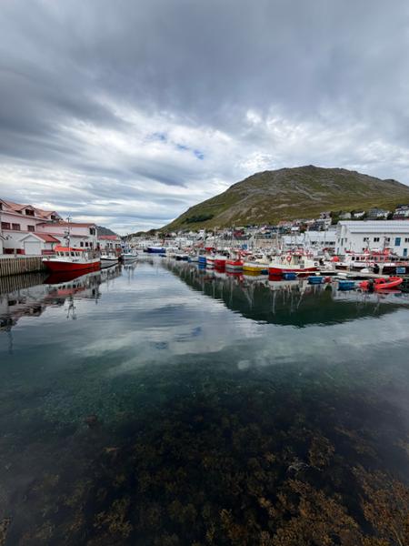 Grand Scandinavia