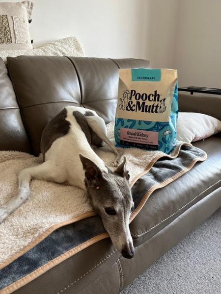 Renal Dry Dog Food