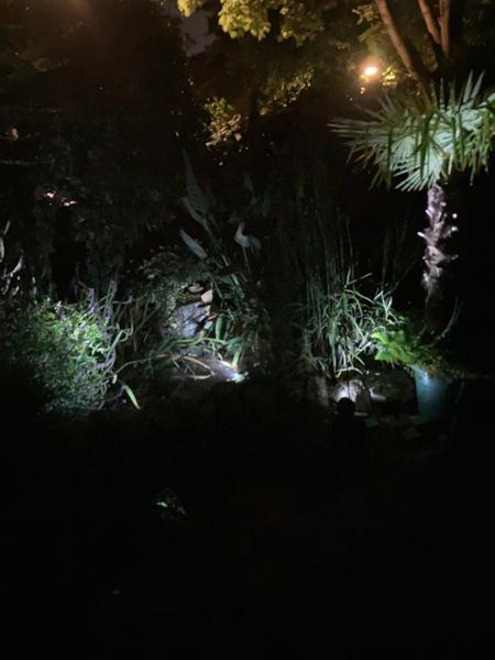 Lights are great product good price worked really well thanks Pond keeper
