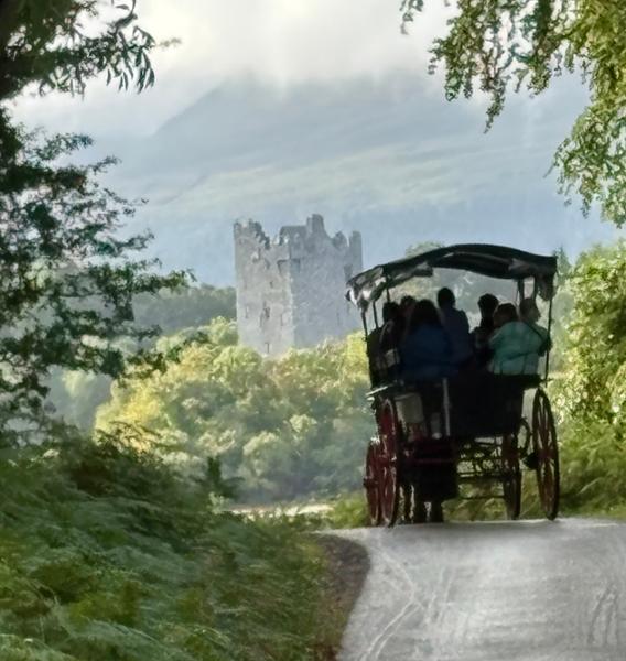 Country Roads of Ireland End Dublin