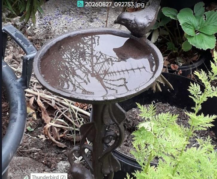 cast iron garden stake bird bath