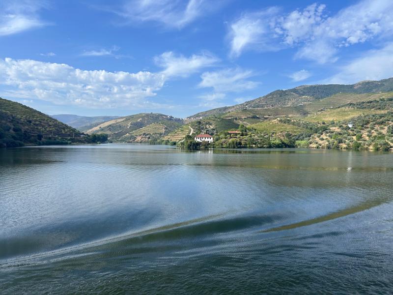 Douro  Porto and Salamanca River Cruise for Solo Travellers