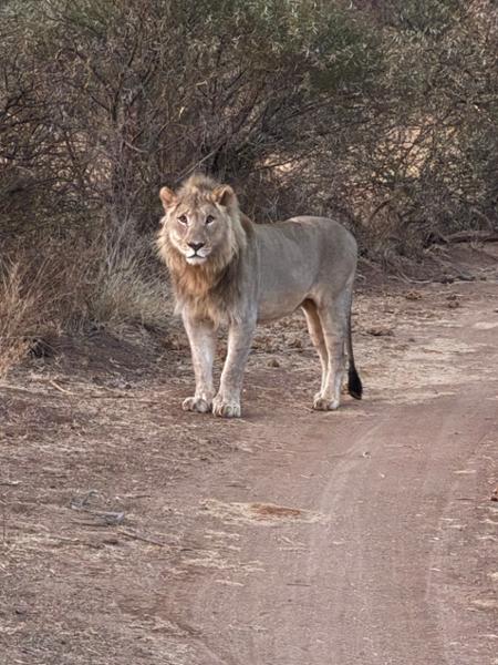 Exploring South Africa, Victoria Falls, and Botswana on 08/01/2026