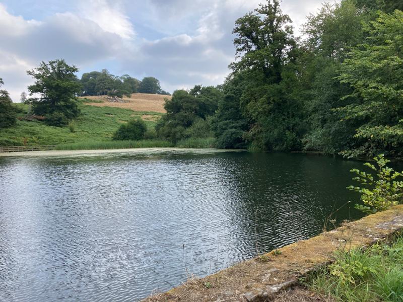 Dinefwr Deer Lodge