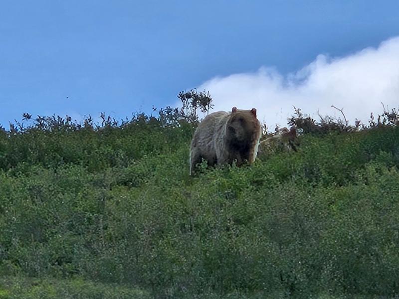 Alaska: America's Last Frontier on 08/06/2026