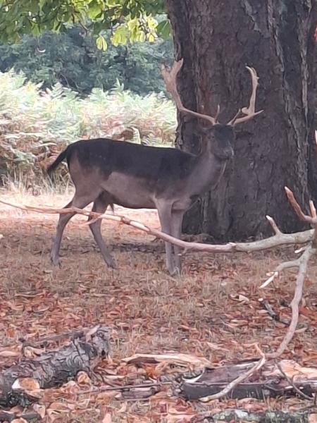 Great trip to Forest of Arden