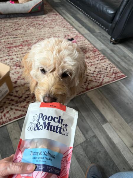 Turkey & Salmon Freeze Dried Dog Treats