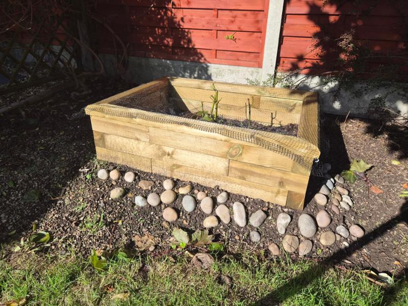 Excellent solid raised bed.