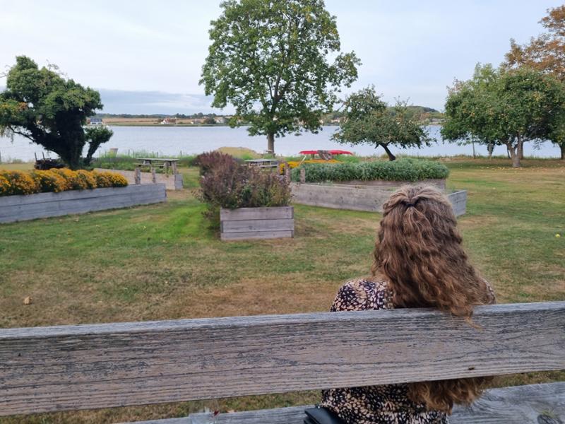 Gl. Avernæs Sinatur Hotel & Konference