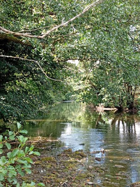 Weekend walking round Dovedale
