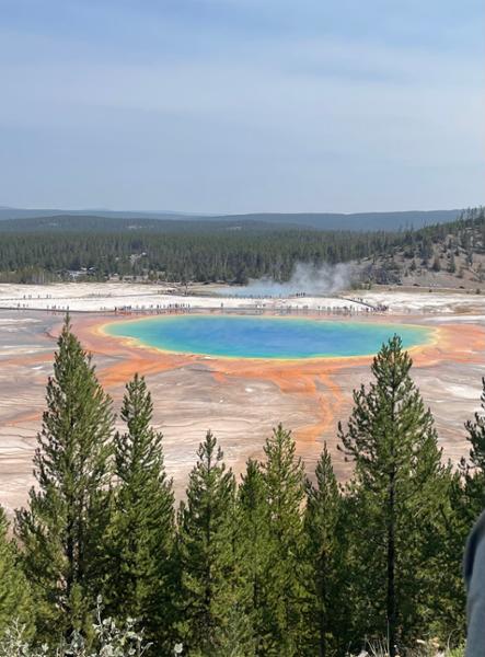 Montana: Exploring Big Sky Country featuring Yellowstone & Glacier National Parks on 08/04/2026