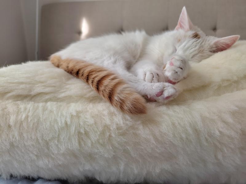 Luxury Wool Fleece Pet Bed