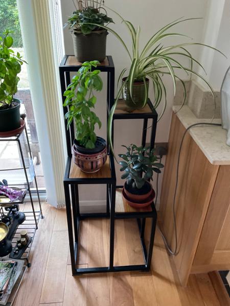 Nara 4-Tier Plant Stand Culture Vulture