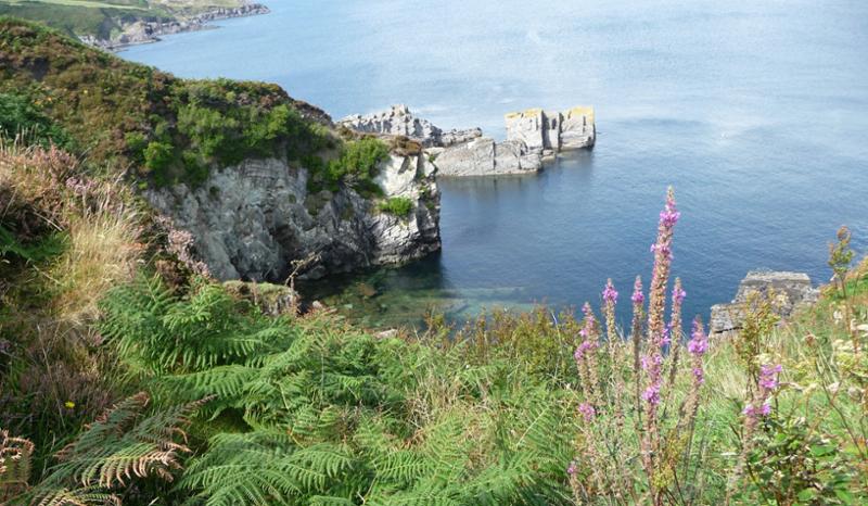 Sociable guided walking in South West Ireland