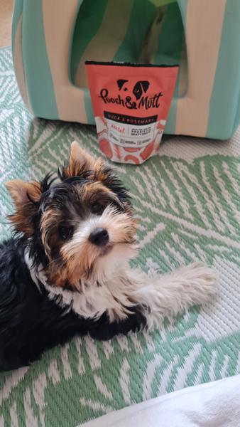 Dental Probiotic Meaty Treats