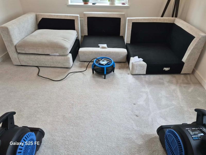 Carpet fans