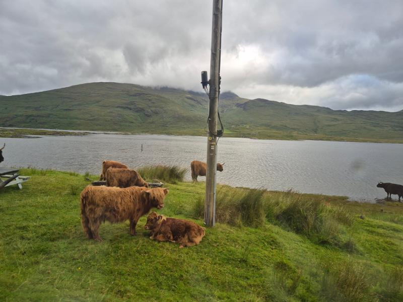 Highly Recommend A Scottish Journey