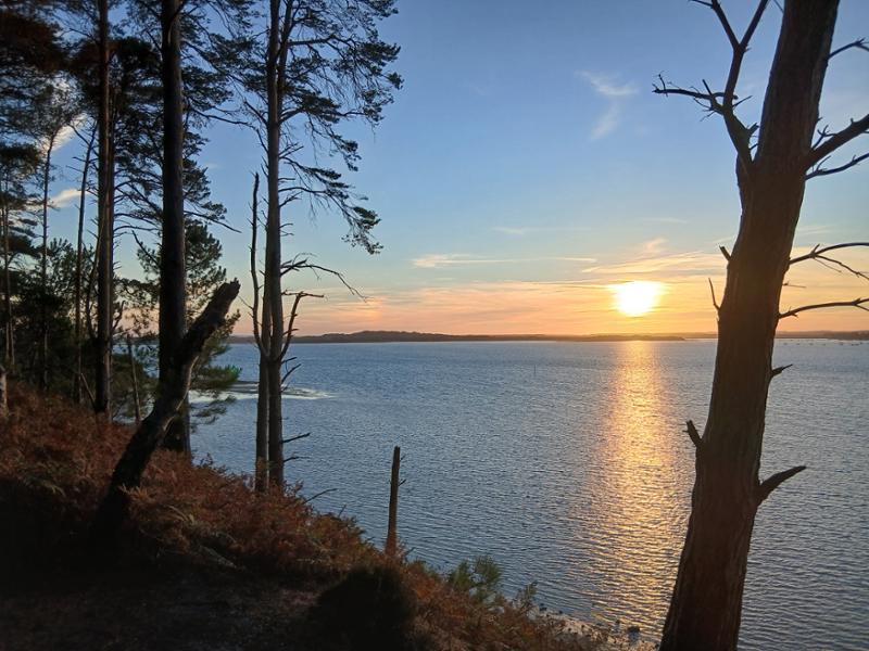 Brownsea Island Campsite