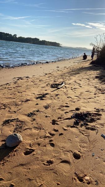 Brownsea Island Campsite