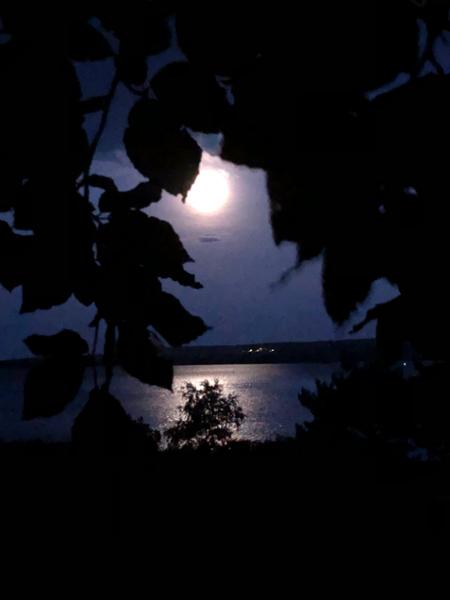 Brownsea Island Campsite
