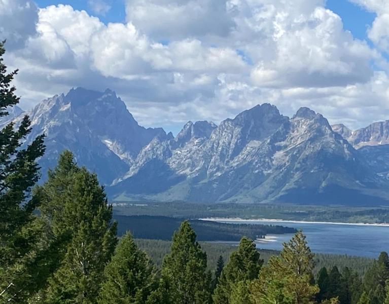 Yellowstone Discovery was amazing