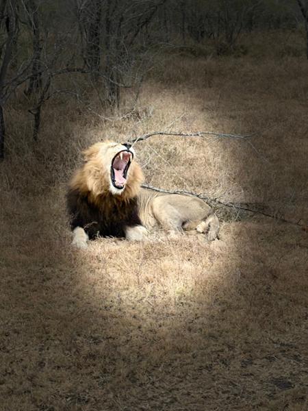 This was the trip of a lifetime.  I am having little pictures parties.