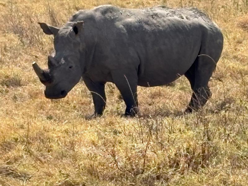 Rwanda, Kenya & Tanzania