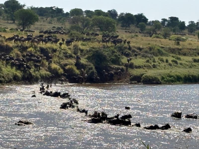 Rwanda, Kenya & Tanzania