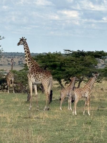 Rwanda, Kenya & Tanzania