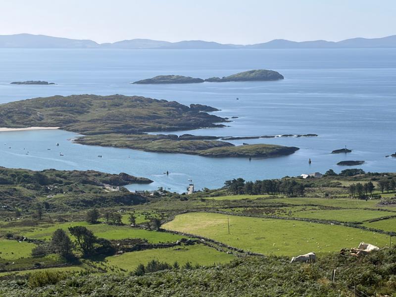 Irish Experience