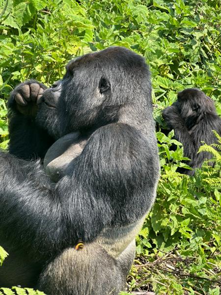 Rwanda