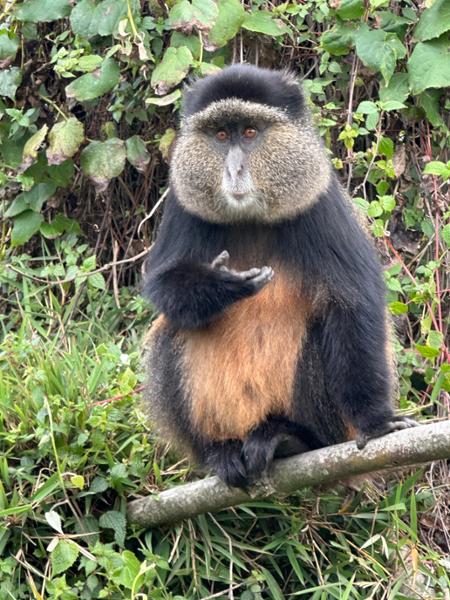 Rwanda