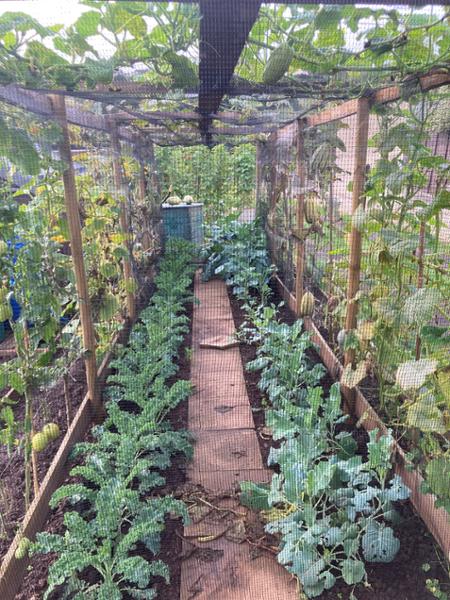 Great netting perfect for the job