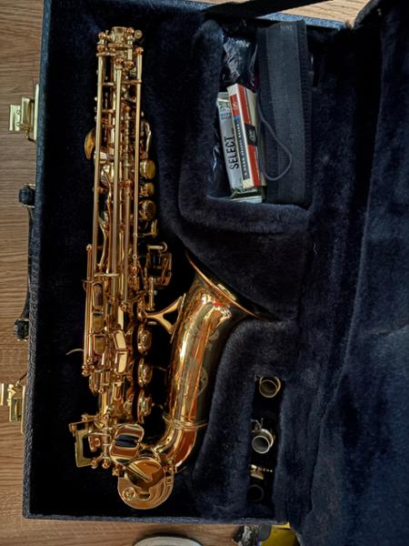 Musicians Fantasy World