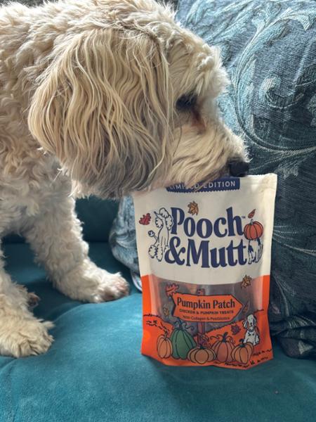 Pumpkin Patch Probiotic Meaty Treats