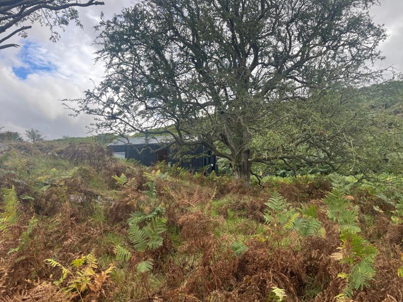 Clean, tidy and isolated escape! Bliss.