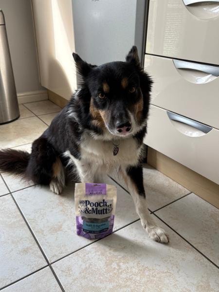 Health & Digestion Probiotic Fish Treats