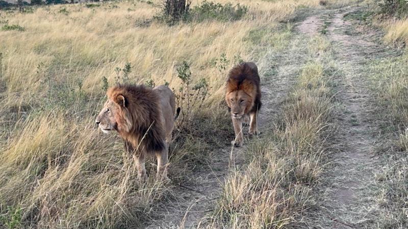 Lifelong Memories in Eastern Africa
