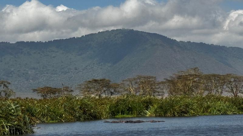 Lifelong Memories in Eastern Africa