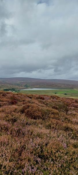 perfect trail in the Dales