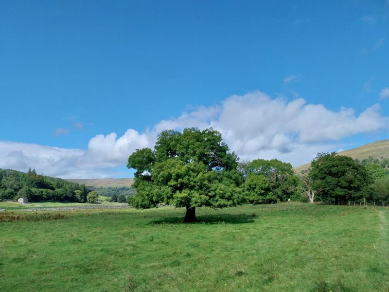 perfect trail in the Dales